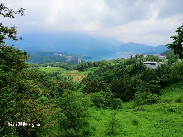 南投魚池~和緩步道散步趣。 #49小百岳~貓囒山步道