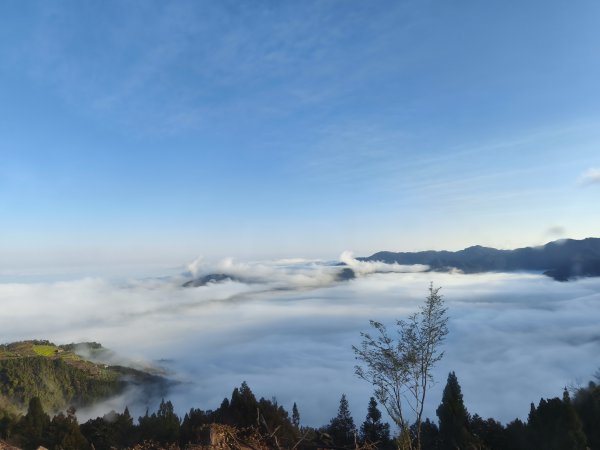 [新竹/苗栗] 觀雪縱走(雪見大板根)