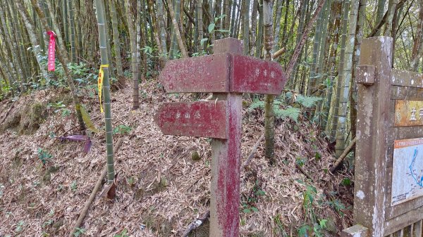 集集大山慢活行（孟宗竹林登山口）1627433