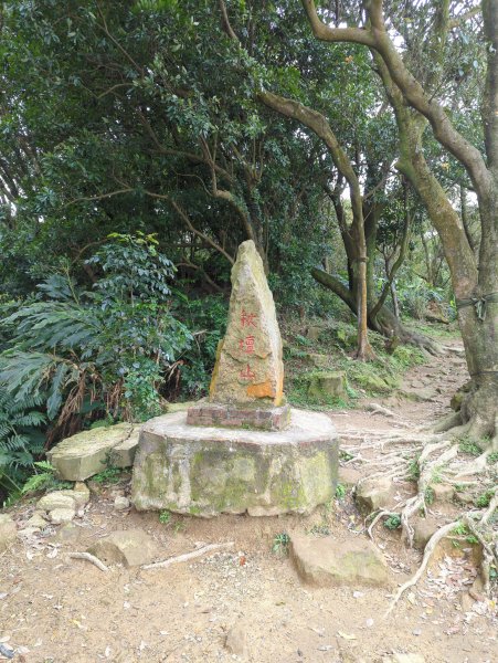 2022.03.05－大棟山縱走1636836