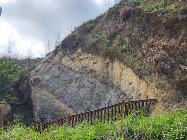 1140419龍港連走白沙屯(含好望角,牧羊古道,舊鐵道,海角樂園,山邊媽,白沙屯)2767284