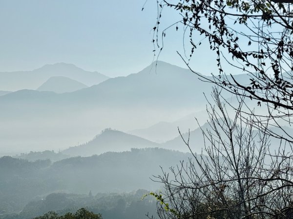 金龍山看山嵐風情2679508