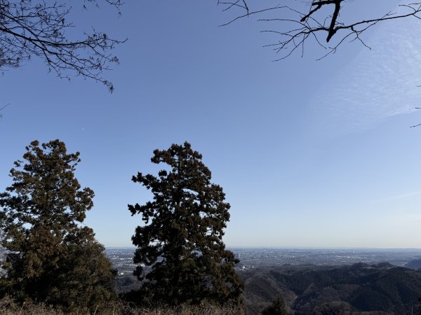 1150126日本高尾山2996170