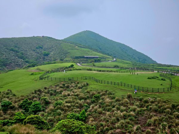 2026年臺北大縱走第三段：小油坑至風櫃口3037886