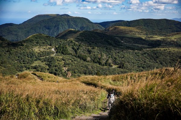 小油坑上七星山2979245