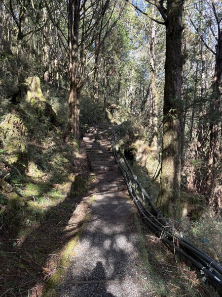 20251225塔山步道(大塔山)2970356