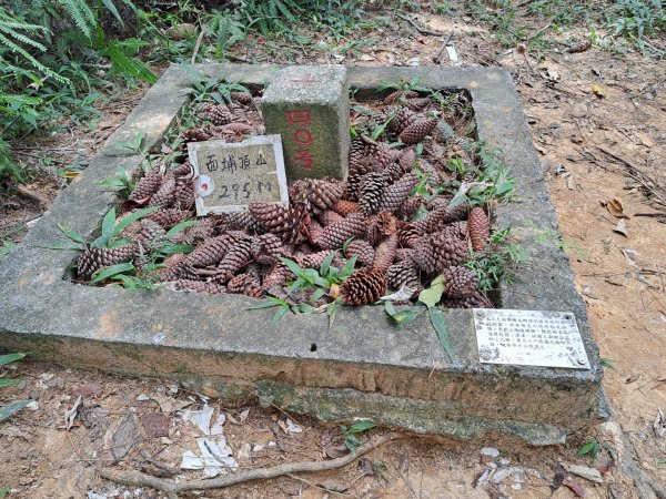 2026森遊竹縣：石光古道（老虎山步道）3107339