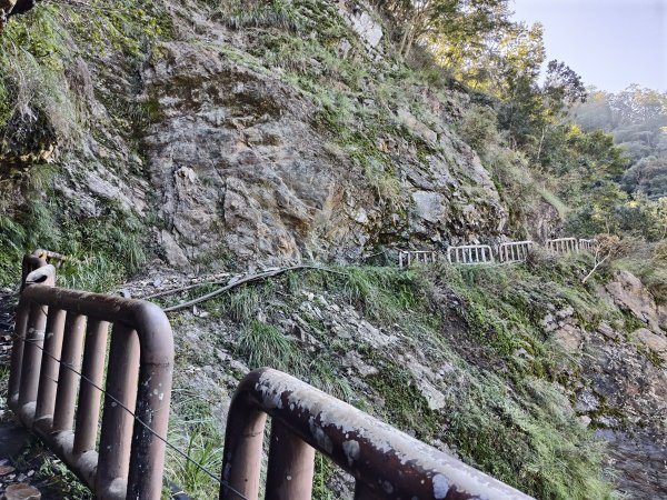 [玉山尋寶任務-07/12] 2025_0824 八通關雲龍瀑布步道2870672