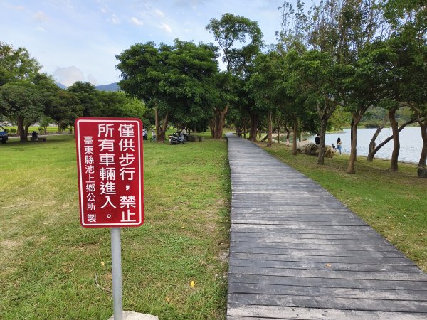 [漫遊縱谷 愛在花東-05/10] 2025_1011 大坡池環潭步道2913289