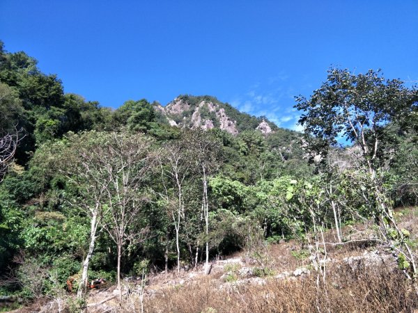 谷關七雄：屋東縱走-屋我尾山-麗陽上1491947