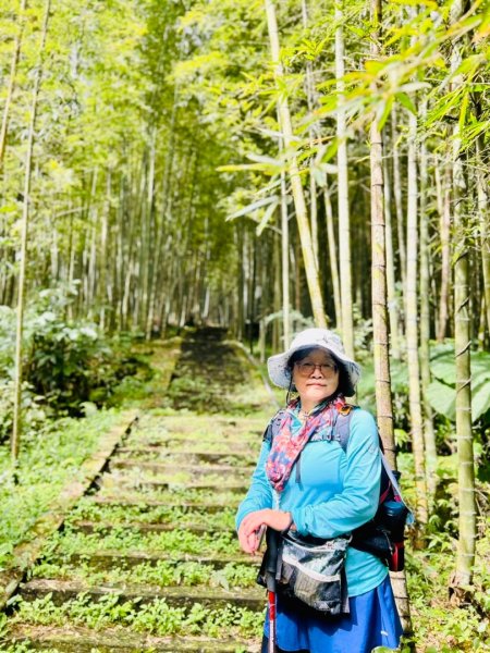 挑竹古道6號走小半天6連峰出孟宗竹林古戰場3108791