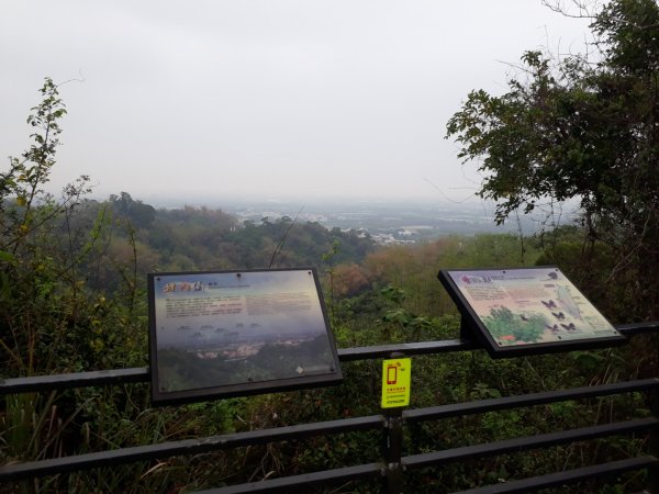 雲林林內龍過脈森林步道20190323550605