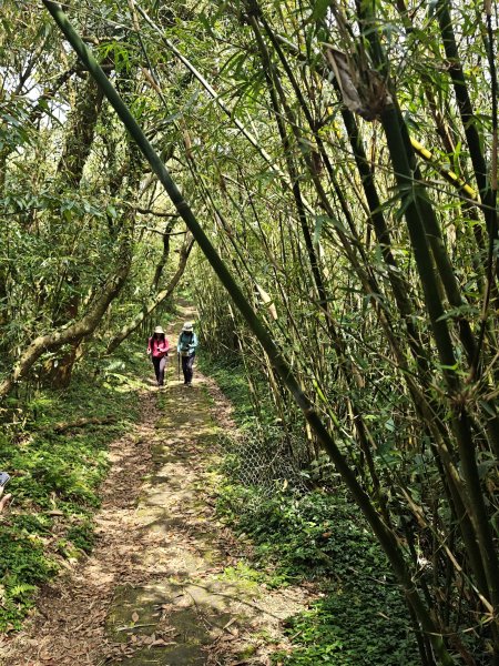 2026-0323 台北大縱走第一段3022628