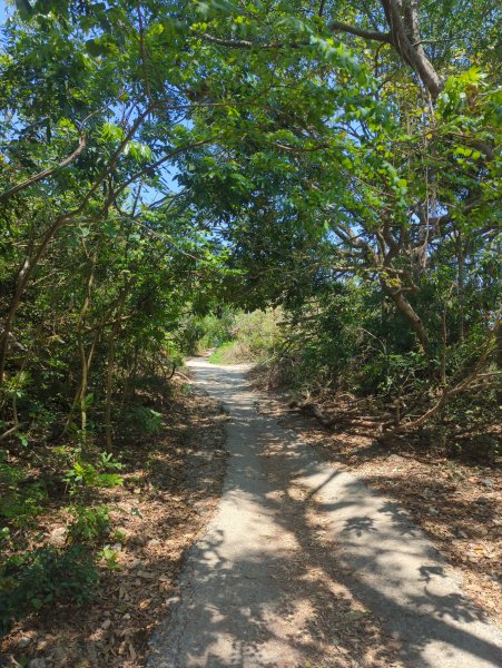 2025.03.25－壽山健走2746383