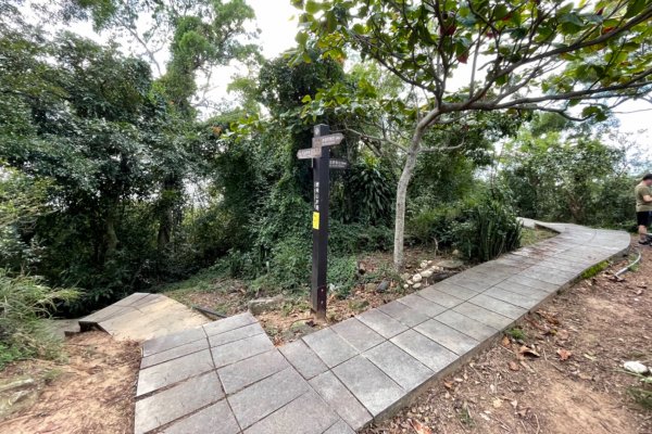 鯉魚山步道1797753