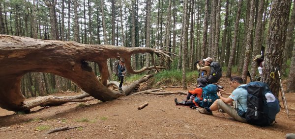 2025國慶連假_南湖群峰7座百岳行2916911