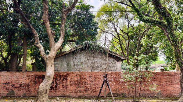 【台灣健行】霧峰．光復：日光滲透的紅磚記憶。3034103