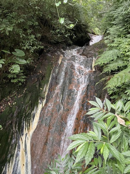 陽明山六瀑連走2877726