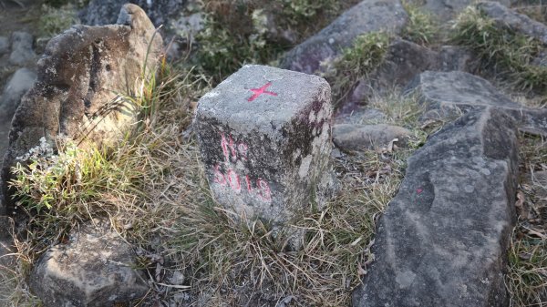 東埔山登山健行趣(中級山)2031816