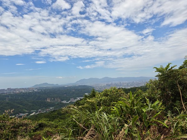 [微笑山線_第一段] 2026_0725 大棟山系_大同山3101739
