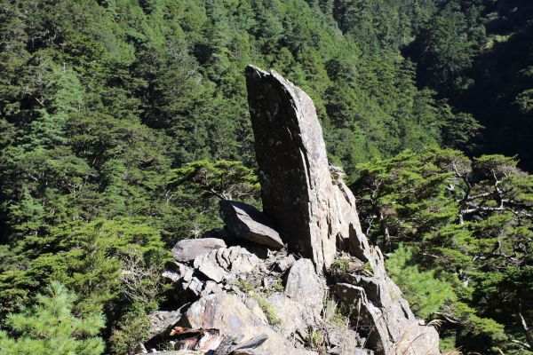 合歡溪步道健行174465