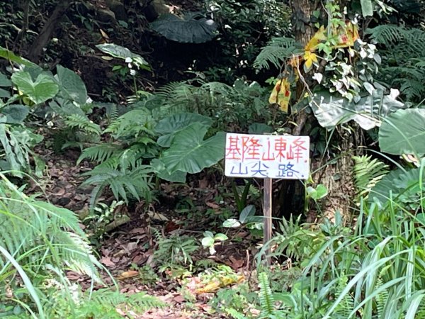 新北 瑞芳 無言的山丘2788495