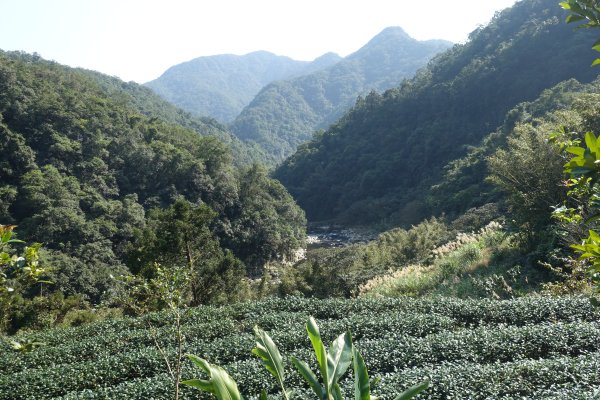 大舌湖步道 虎寮潭3086042