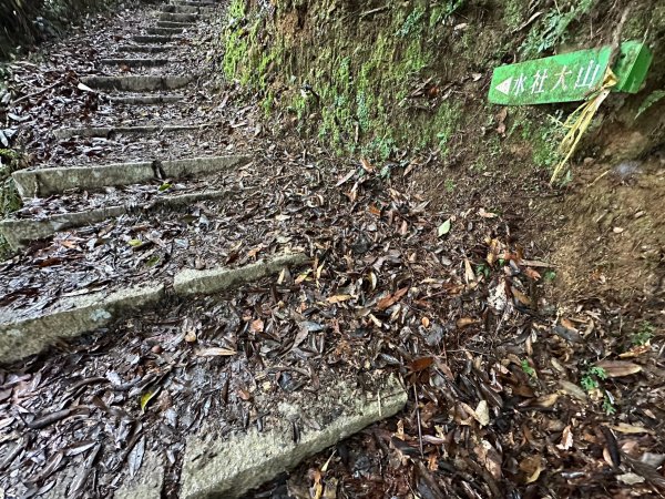 很硬的水社大山很幸運看到大景2388166