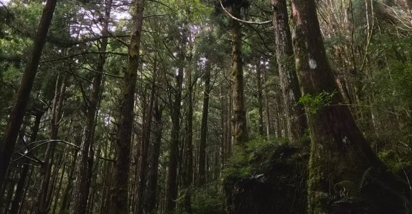【中級山】宜蘭小百岳，三星山3131434