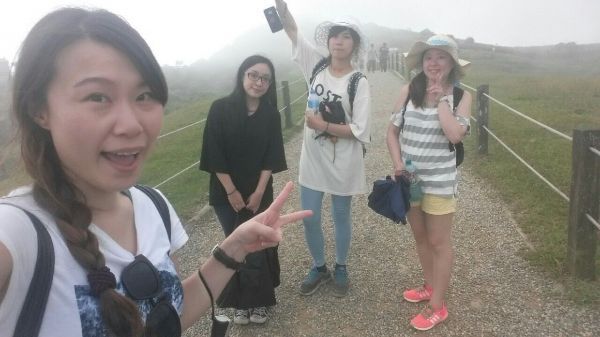 擎天崗環行步道294007