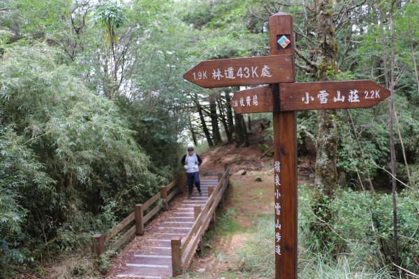 2015-09-26大雪山森林遊樂區22045