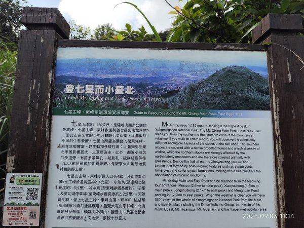 【臺北大縱走 2、3、4】冷水坑→七星山主東峰步道→冷擎步道→小油坑→鵝尾山→內湖許願步道2878883