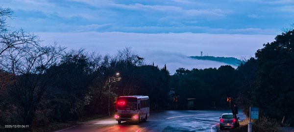 #陽明山 趴趴走12/12950334