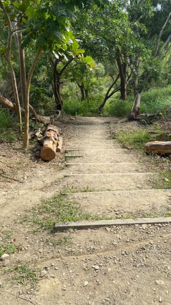 尚書林山步道(鳳凰山)2730901