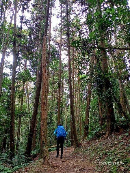 四訪苗栗的花果山-小百岳#037馬那邦山、雪霸國家公園管理處【小百岳集起來、苗栗-臺灣百大必訪步道】2394322