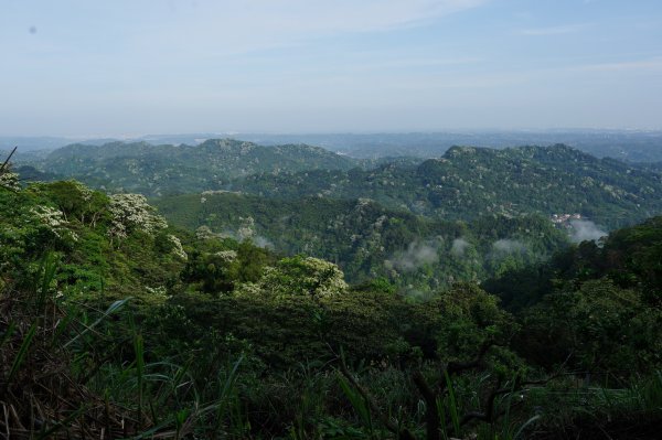 新竹 北埔 五分寮頂山、大南坑山、焿寮坪山、內大坪山2489179