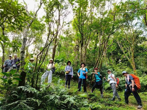 南北豹子廚山2925466