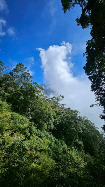 20251106北大武山步道☁️ 喜多麗雲海2931373