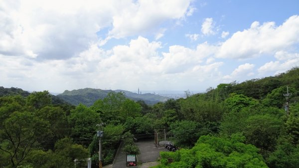 土白公路版1662783