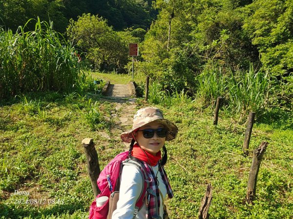 【淡蘭古道中路】崩山坑古道全段＆虎豹潭野餐2572634