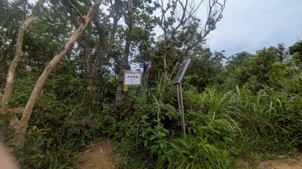 114.07.27槓子寮山+煙火2847299