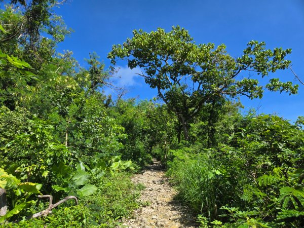南壽山步道2805677