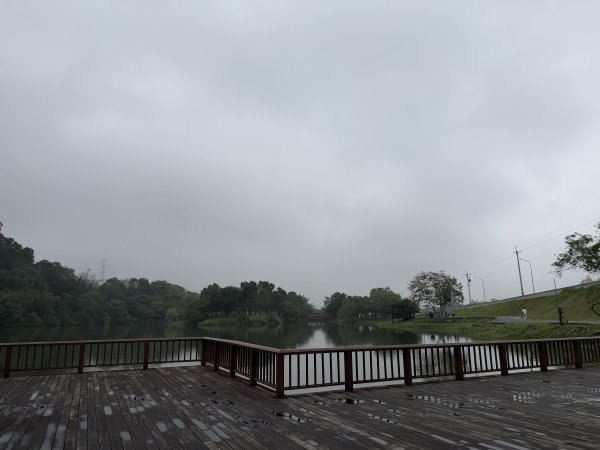 [樟之細路_第一大段RSA01] 2026_0329 三坑自然生態公園3026797