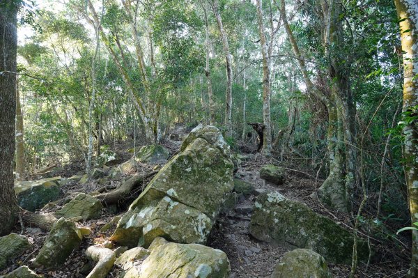 臺中 和平 白毛山、次郎山2670919