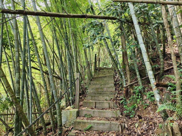 小百岳No.52⛰後尖山2555309