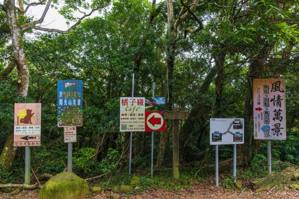[新竹]飛鳳山2512097