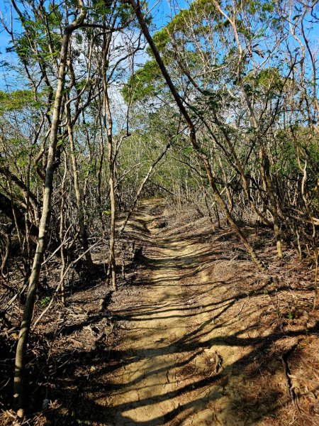 大山母山-小百岳#81-屏東縣恆春鎮2731508