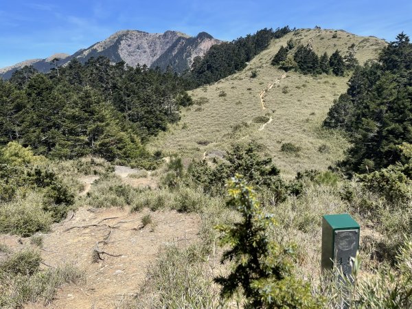 合歡北、西峰(三訪)113.04.212492806