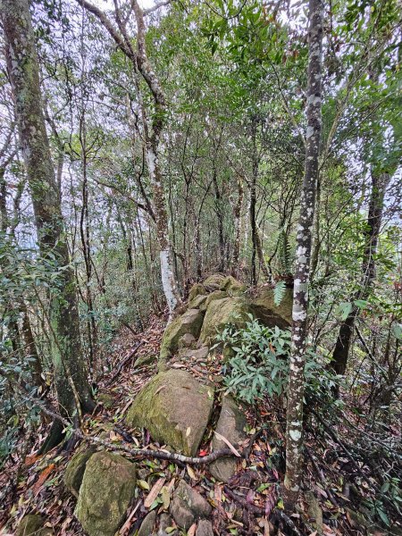 小百岳集起來-九份二山2184919