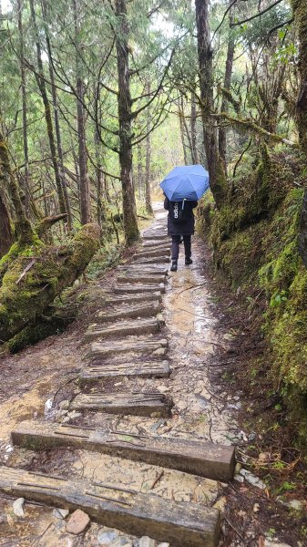 2025-0222 翠峰湖環山步道2718643